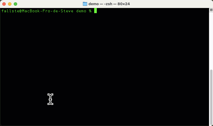 create-vuetify-app.gif